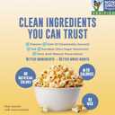 2 x POPFULLY Sea Salt Popcorn Fully Pops, Sharing Bags, Simple Flavor, Big Pop, Micro Popcorn Bags, 3-Pack (EXP 12/23/26)