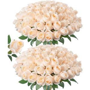 DREAMLOOM 50pcs Roses Artificial Flowers, Fake Roses Realistic with Long Stems Real Touch Silk Flowers Bouquet for Valentine's Day Wedding Anniversary DIY Floral Arrangement Gifts, Champagne
