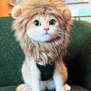 Lion Mane Wig for Cat, Funny Pet Cat & Puppy Costumes for Halloween & Christmas, Funny Pet Clothing Accessories (Medium, Black & Light Brown)