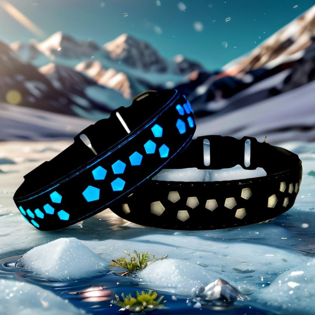 LED Dog Collar, 15 Light Modes, USB-C Rechargeable, Glow Light up Dog Collar (Black, M(11.8-15.7"))
