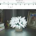 C9 Led Christmas Lights Outdoor Christmas Decorations Commerical Grade 50Led 33ft Christmas Tree Lights Set for Indoor Outdoor Wedding, Holiday, Party, Home Christmas Decorations(White)
