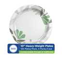 Dixie Ultra 10 Inch Heavy-Weight Paper Plates By GP PRO, Pathways Botanical Design, 500 Count (125 Disposable Plates Per Pack, 4 Packs Per Case), SXP10PATH
