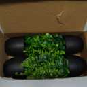 Der Rose 4 Pack Small Fake Plants Mini Artificial Faux Plants in Pots for Home Office Bedroom Living Room Decor