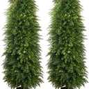 YEMMEN 2 Pack 3ft Artificial Cedar Topiary Trees, Outdoor Artificial Plants for Front Porch Décor, Artificial Shrubs Fake Plants Uv Rated Potted Plants for Outdoor, Indoor, Front Door, Office.