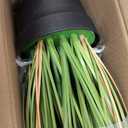 Jexine 2 Pcs 4 ft Tall Artificial Grass Plant Potted Artificial Greenery Floor Plants Faux Pampas Grass Tall in Pot for Housewarming Gift House Garden Bathroom Lobby Outdoor Decoration