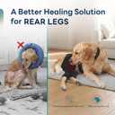 Supet Dog Rear Leg Sleeve to Stop Licking, Soft Breathable Back Leg Recovery Cover for TPLO CCL Surgery, Belly Opening for Male and Female Dogs, Cone Alternative XL
