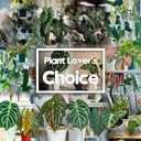 Hinwo 6-Pack Plastic Plant Pots with Drainage Holes and Saucers, 4.7 Inches Small Planters for Succulent, Orchid, General Plants, Flowerpots for Indoor, Outdoor Use, Carbon