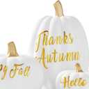 DN DECONATION 3Pcs Fall Pumpkin Decorations for Home, Faux White and Gold Words Pumpkin, Decorative Resin Pumpkins Figurines for Minimalist Modern Farmhouse Autumn Thanksgiving Fall Table Mantel Decor