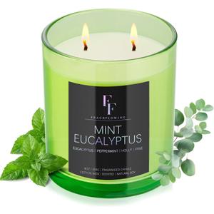 Mint Eucalyptus Scented Candle, 2-Wick Luxury Soy Wax Candle, 9 oz Aromatherapy Candle Home Fragrance Candles Gift