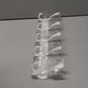 TICONN Wall Mounted Coat Rack, Five Heavy Duty Tri Hooks All Metal Construction for Jacket Coat Hat in Mudroom Entryway (White, 1-Pack)