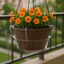 Curtis Wagner Plastics Hanging Basket Drip Pan, Clear, 12 Inch