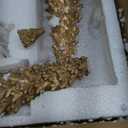 DN DECONATION Christmas Reindeer and Tree Decor  Set of 5 Gold Xmas Reindeer with Christmas Tree Statues  Vintage Resin Woodland Forest Animals Deers for Table Mantle, Indoor Winter Decor