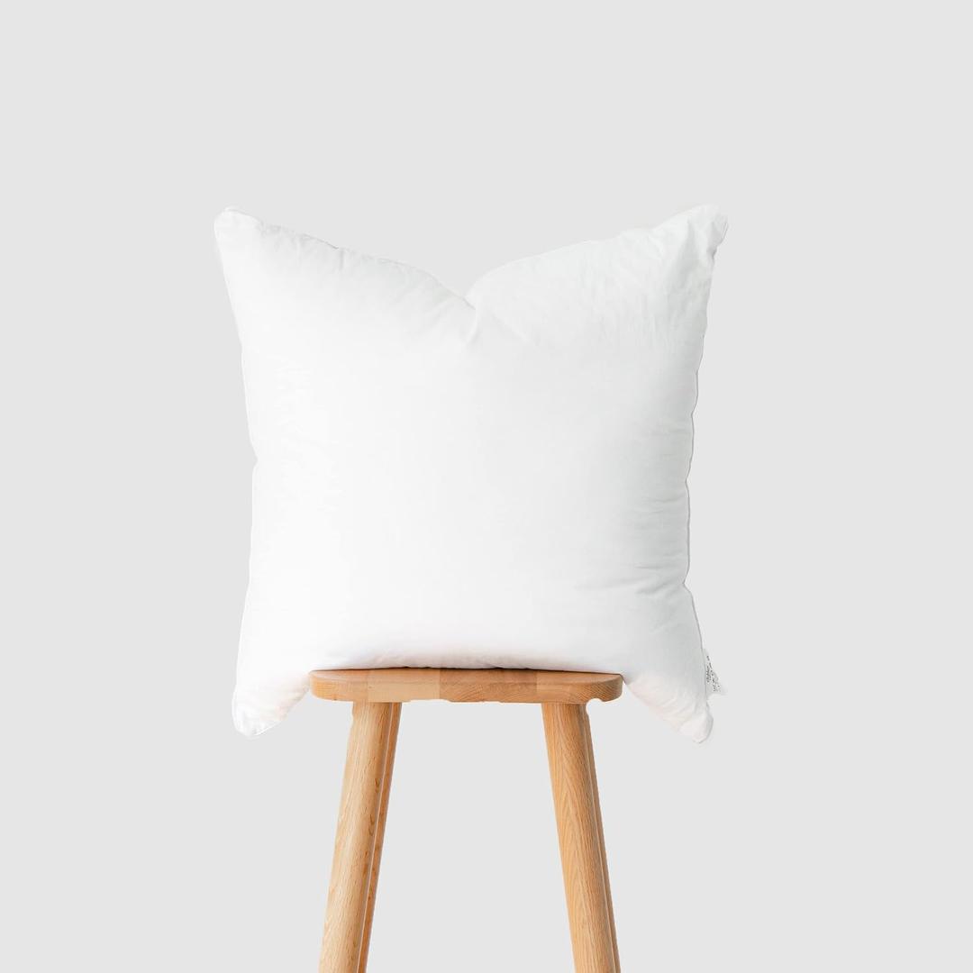 Hofdeco Premium Throw Pillow Insert, 22"x22" (for Cover Size 20"x20") Water Resistant Synthetic Down Alternative Sham Stuffer for Patio, Bench, Garden, White