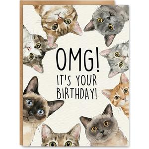 2 x Funny Cat Birthday Card, Birthday Gift for Cat Lovers, Blank Inside, with Kraft Envelope and Gold Seal Sticker