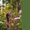 Crafting with Flowers: Celebrate the Seasons with 20 Floral Projects