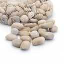 Royal Imports 5LBS River Rocks Decorative Ornamental Pebbles, Garden Landscaping Stones, Gravel Filler for Plants, Vases, Succulents, Home Decor, Aquariums, Crafting, Animal Habitat - Large Light (Medium)