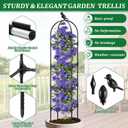 Fabulas Garden Obelisk Trellis for Climbing Plants Outdoor, 6 Ft Rustproof Plastic Coated Metal Vine Plant Trellis Support for Pots, Wisteria, Morning Glory, Clematis, Jasmine, Rose, Tomato, 2 Pack