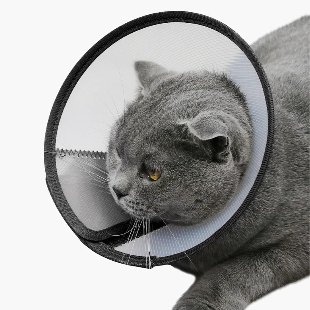 Dog Cone Collar Adjustable After Surgery, Comfortable Pet Recovery Collar & Cone for Large Medium Small Dogs, Elizabethan Dog Neck Collar Plastic Practical