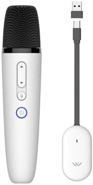 LvDonic Karaoke Microphone for Tesla Model Y/3/S/X, Car Karaoke Microphone with USB-A & USB C Connector Receiver for Tesla Cars, CaraokeMic for Tesla Works for All App, 1 Mic