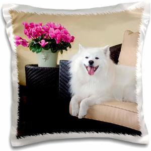 3D Rose American Eskimo Lying on Patio Couch Pillow Case, 16" x 16"