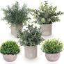 Artificial Potted Plants Set of 5, Realistic Faux Greenery in Cement Pots for Home Office Desk Bookshelf Decor, Small Fake Plants for Indoor Tabletop Decoration