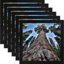 5x5 Square Picture Frame Black Photo Frames Display for Wall and Tabletop, Set of 6