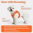 Rabbitgoo Dog Harness Small Sized and Leash Set, Step in Soft Light Puppy Vest, Breathable Mesh Pet Harness, Reflective for Safe Easy Walking, Orange M