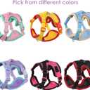 Cat Harness and Leash Set for Walking  Escape-Proof Reflective Vest for Cats and Small Dogs, Adjustable Soft Air Mesh with Pressure-Reducing Design, 4.92ft (Light Brown & Blue, M)