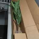 Nearly Natural 48in Artificial Dracaena with Real Touch Leaves and Multi Tonal Trunks, Large Indoor Silk Plant with Pot, Maintenance Free For Living Room And Home Office Decor