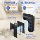 116130 HEPA Replacement Filter H for Winix 5500-2 Am80 Plasmawave Air Purifier,H13 True HEPA High-Efficiency Activated Carbon Filter,2 Combo Set