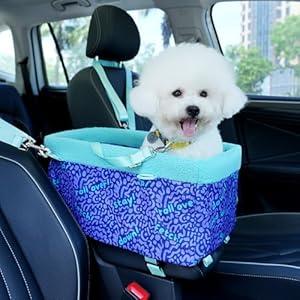 BurgeonNest Center Console Dog Car Seat for Small Dogs, Puppy Cat Car Seat Booster with Soft Cushion Safety Belt, Seats Safe & Cozy Metal Frame Armrest Dog Booster Pet Under 11 lbs (Word)