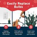 PREXTEX 100 Count Clear Christmas Lights - 20 ft Ultra Bright String Lights with Green Wire for Indoor and Outdoor Use, Christmas Trees, Holidays, Patios and Garden