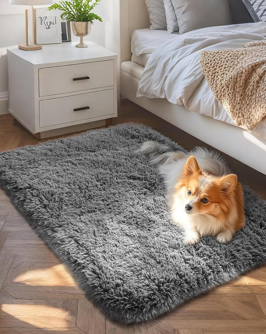 Ophanie Small Rug Upgrade Non Slip Throw Bedside Area Rugs, Fluffy Soft Grey Mini Bedroom Carpet, Affordable Door Entryway Indoor Inside Front Entrance Dog 2'x3' Mat, Home Decor Aesthetic, Nursery