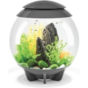biOrb Halo 15 Acrylic 4-Gallon Aquarium with Multi-Color Remote-Controlled LED Lights, Gray
