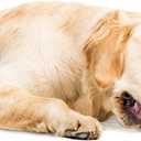 Omega Paw Authentic Tricky Treat Ball - Medium,Orange (Medium (3.5"))