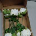 florisso White Peony Artificial Flowers - 11 Branches Silk Peonies for Home Decor, Wedding Floral Arrangements & Table Centerpieces (Silk Artificial Flowers) (Small)