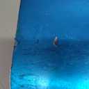 Pizza Peel Aluminum Pizza Spatula, Mooues 12 inch Metal Pizza Paddle(12"x 14")with Rocker Cutter Foldable Wood Handle, [Storage bag included], for Family Pizza Oven Baking Pizza, Dough, Bread & Pastry