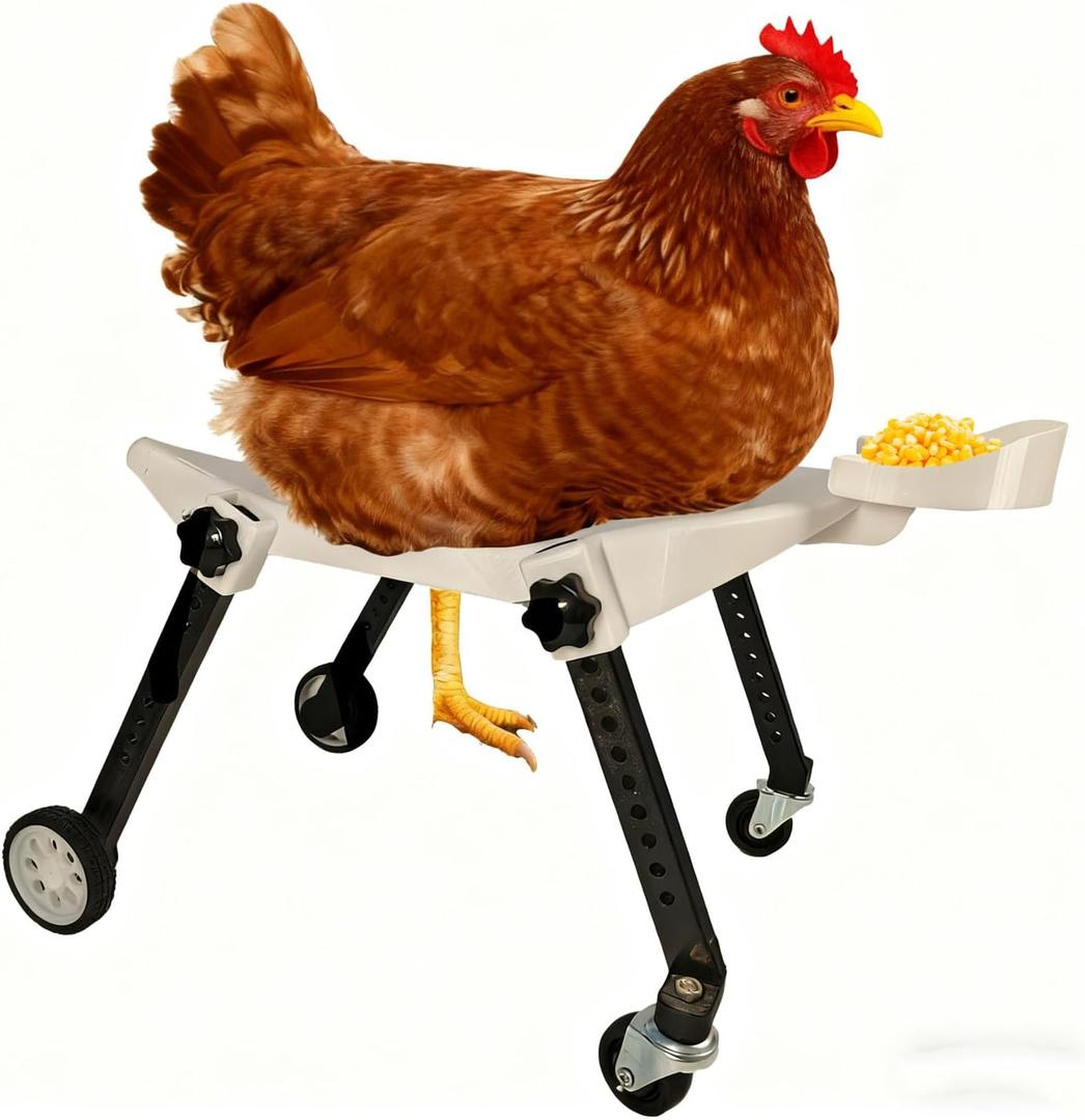 Medium-Scale Pet Chicken Wheelchair - Adjustable Mobility Aid Cart for Injured/Disabled Poultry, Comfortable Fit to Support Free Movement, Ideal for Medium-Sized Pet Chickens