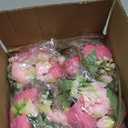 Luyue 8 Packs Peonies Artificial Flowers Faux Peony Bouquet Fake Peonies Flower for Vase Silk Peony Floral Arrangements for Table Centerpiece Wedding Decoration Indoor Home Decor (Mixed Pink-8pcs)