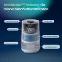 BLUEAIR Premium Smart Humidifier for Large Rooms, Bedrooms, Better Sleep with Evaporative Invisible Mist Tech, Auto Humidify, Easy Top Fill, Smart Control with App, Touchscreen, 3.5L Tank for 48 hours