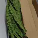 35" Ferns Artificial Bush Plants Large, 2 Artificial Boston Ferns with 39 Fronds for Outdoors Home Decor