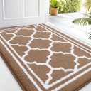 Buganda Indoor Door Mat, Dirt-Resistant and Absorbent Doormat, Anti-Slip, Low Profile Floor Mats for Inside Entryway, Front, and Back Door Entrance (32x20 Inches, Brown)