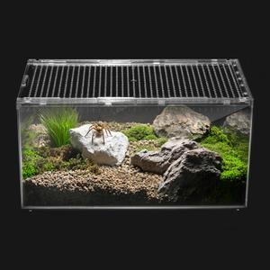 Reptile PC Terrarium,Spider Tank Starter Kit,Leopard Gecko Container,Tarantula Cage,Hermit Crab Habitat,Lizard Enclosure,Insect Housing,Jumping Spider Enclosure,Small Bearded Dragon Vivarium (L(11.8x7.8x5.9IN))