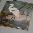 2 x Egret Bird Vintage Poster Art Print Retro Wall Art Poster Decor Nature, Avian Painting Artwork for Bedroom Living room Decor 41 (Egret, 8 x 10 inches, Unframed)