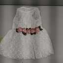 Fitwarm Luxury Rose Lace Pet Dog Weddding Dress Bride Clothes Formal Apparel, Medium