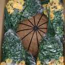 lovemoon 2 Sets Artificial Hanging Pansy Flowers with Baskets, 24 Pcs UV Resistant Faux Silk Pansy Outdoor Hanging Flower for Porch Patio Garden Home Spring Decor (2, White,Yellow,Purple)