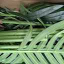 Artificial Palm Tree 4FT, Suntee Fake Tree with White Tall Planter 2 Pack, Faux Tropical Areca Floor Plant in Pot, Artificial Silk Plant for Home Office Living Room Decor Indoor
