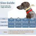 Mayerzon Dog Collar, Patented Martingale No Pull Collar for Small Medium Large Dogs with Buckle for Walking Training, Hidden Design (Black, Large,2.5mm,18.5"-23.5" Neck)