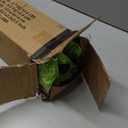 JEAREY 9FT Outdoor Patio Umbrella Outdoor Table Umbrella with Push Button Tilt and Crank, Market Umbrella 8 Sturdy Ribs UV Protection Waterproof for Garden, Deck, Backyard, Pool (Apple Green)