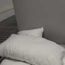 Canadian Luxury Goose Down Pillow King Size - 1050 Fill Power, 100% Cotton with Teflon Shell- Ultra Comfort Sleep Pillows - Bed Pillows for Back, Stomach, Side Sleeper(White,King(Pack of 2))